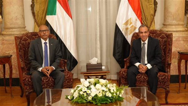 بدر عبد العاطي -