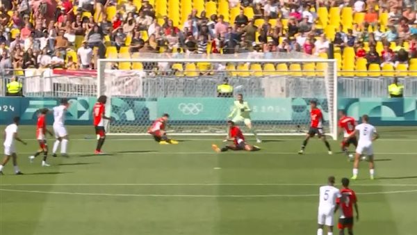 إنقاذ عمر فايد