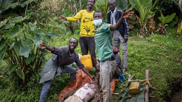 انهيارات أرضية -