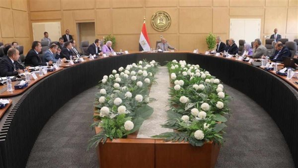 وزير الكهرباء