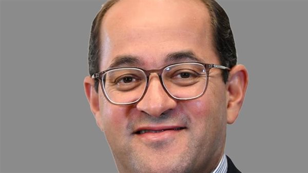 وزير المالية 