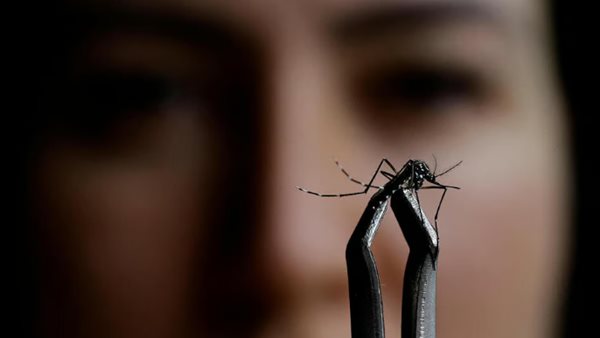 انتشار فيروس حمى