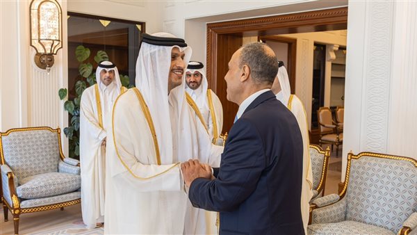 بدر عبد العاطي -