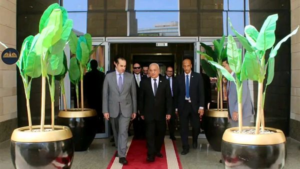 الوزير محمود فوزي