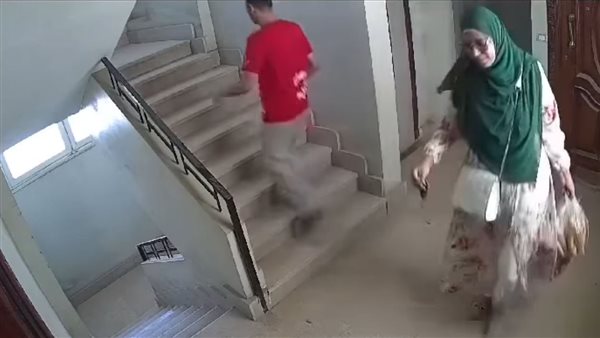 فيديو سيدة السويس