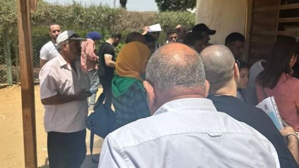 وزير الكهرباء 