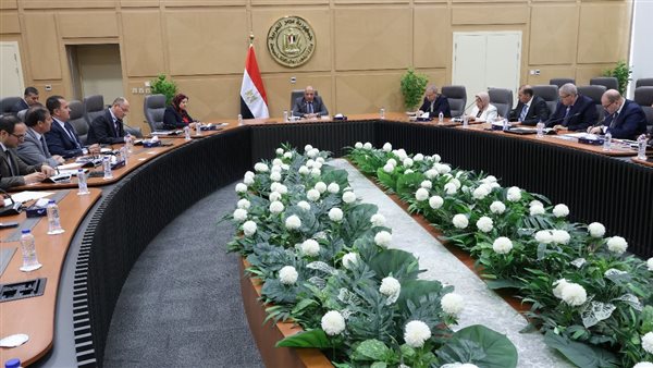 وزير الكهرباء 