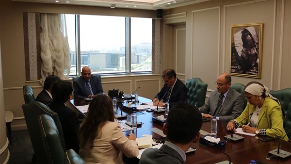 وزير الكهرباء 