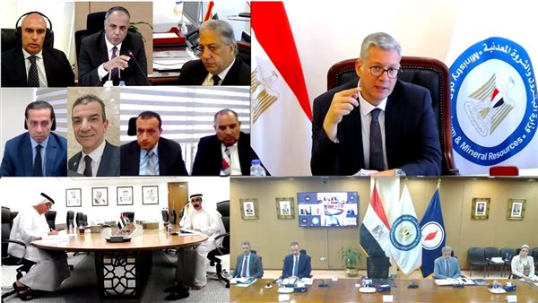 وزير البترول 