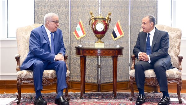 بدر عبد العاطي ووزير