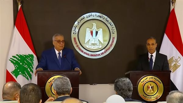 وزير خارجية مصر ونظيره