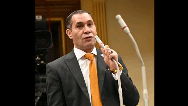 النائب أحمد عاشور