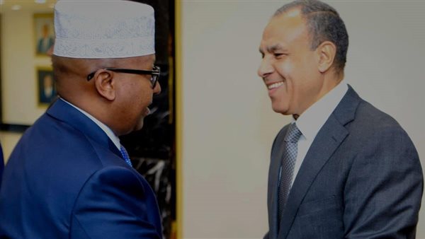 بدر عبد العاطي ونظيره