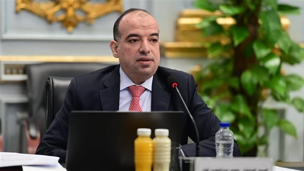 المستشار محمد عبدالعليم