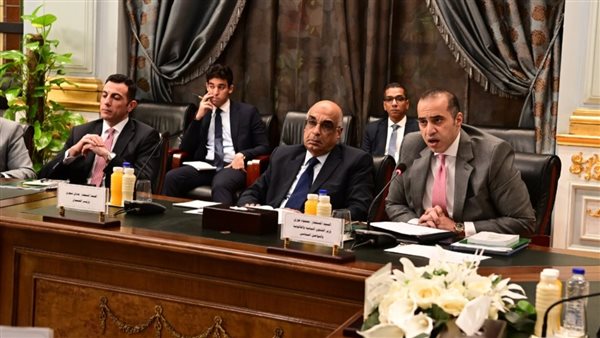 المسششار محمود فوزي