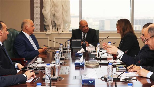 وزير الكهرباء 