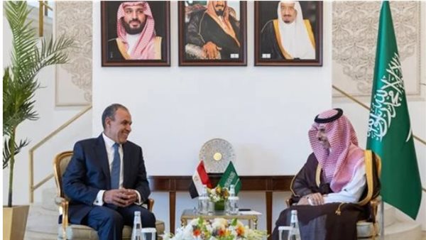 وزيري الخارجية المصري