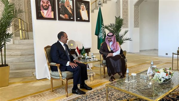 بدر عبد العاطي -