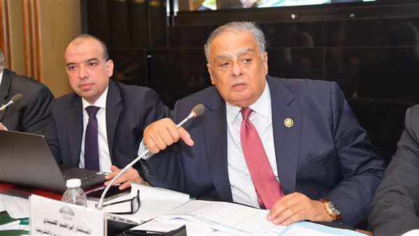 المستشار إبراهيم