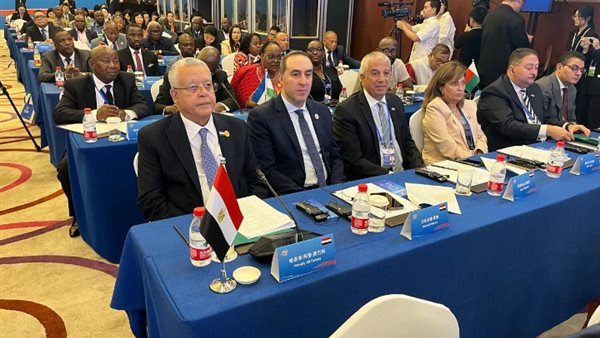 جانب من المشاركة