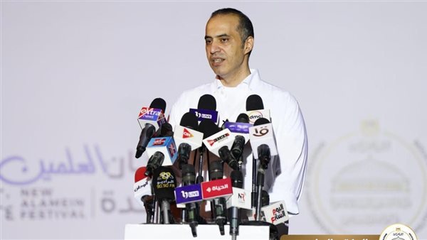 المستشار محمود فوزي