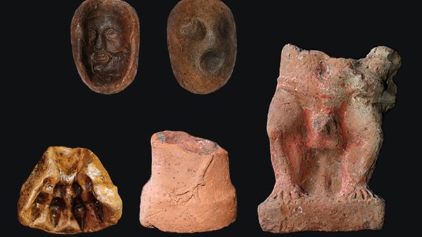 جانب من الاكتشافات