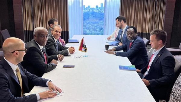 وزير الخارجية يلتقي