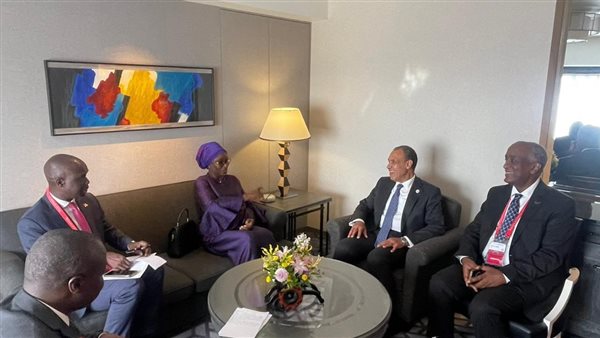 بدر عبد العاطي ووزيرة