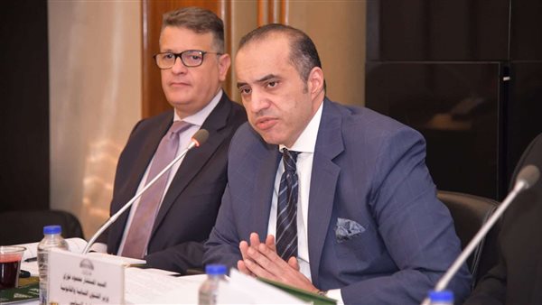 المستشار محمود فوزي