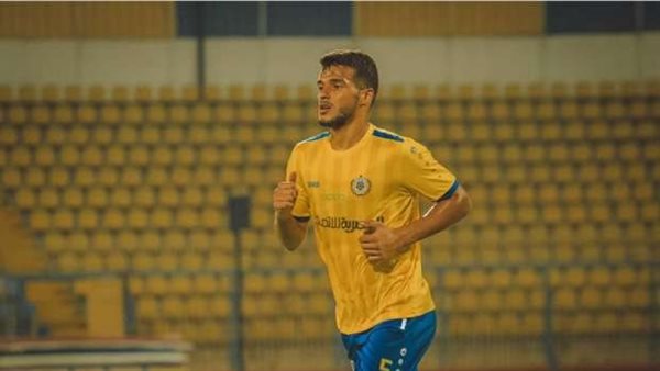  مرون صحرواي