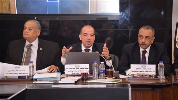 تشريعية النواب 