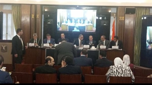 لجنة الشئون الدستورية