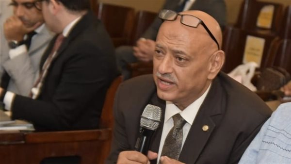 ممثل نقابة المحامين