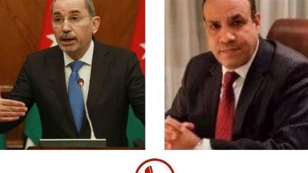 بدر عبد العاطي وأيمن