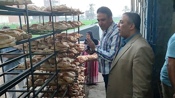 محافظ الفيوم