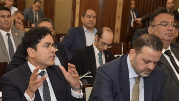 تشريعية النواب 