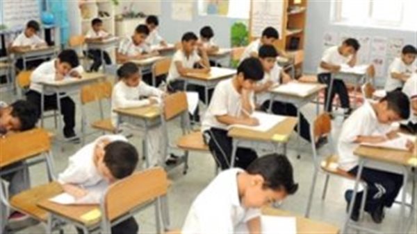 المدارس الخاصة 