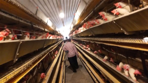 توزيع أسمدة