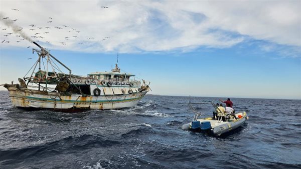 صورة أرشيفية