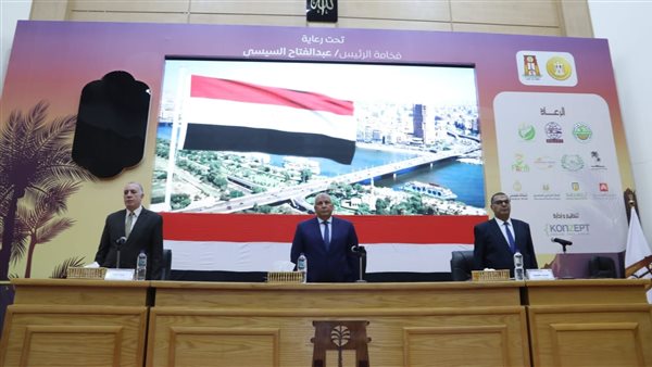 محافظ الوادي الجديد