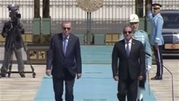الرئيس السيسي واردوغان