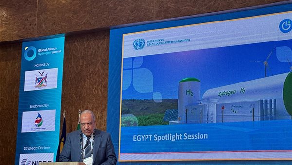 وزير الكهرباء 