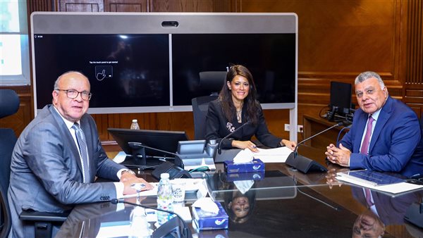 لقاء وزيرة التخطيط