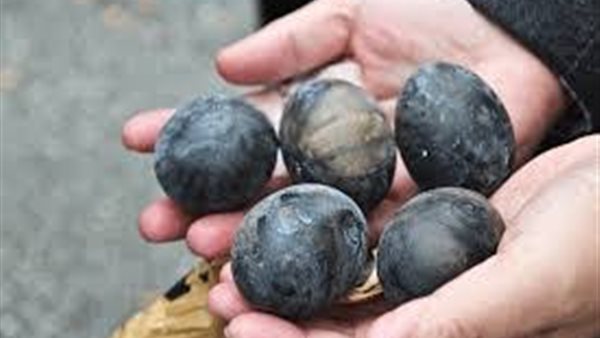 البيض الأسود الصيني