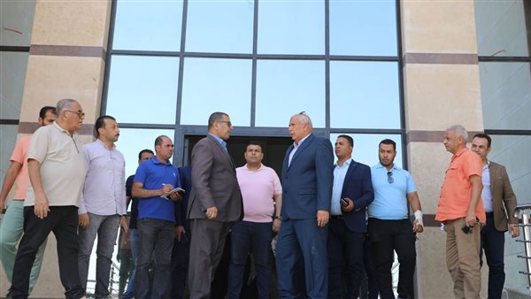 الوادي الجديد