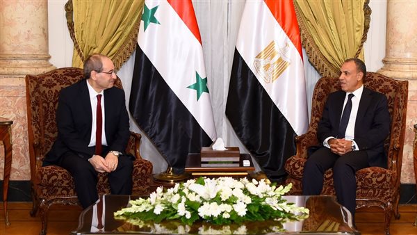 بدر عبد العاطي -