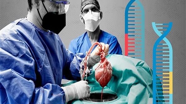 زراعة الأعضاء 