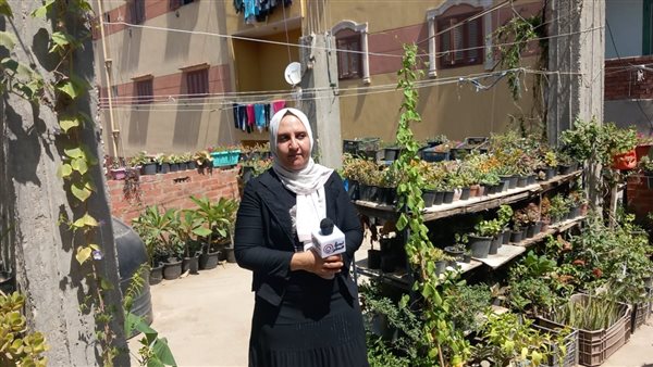 وفاء من كفر الشيخ