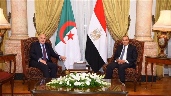 وزير الخارجية ونظيره