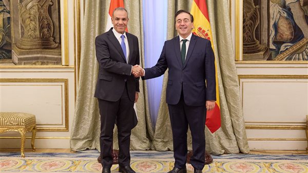 وزير الخارجية المصري